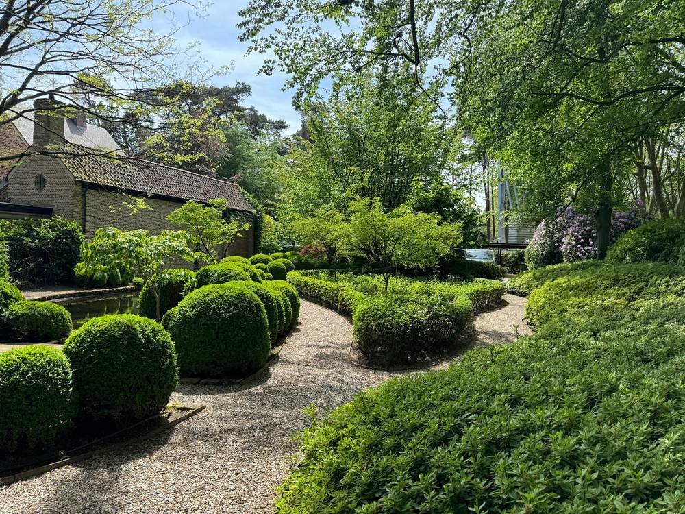 Onderhouden tuin met in vorm gesnoeide buxusbollen langs een grindpad.