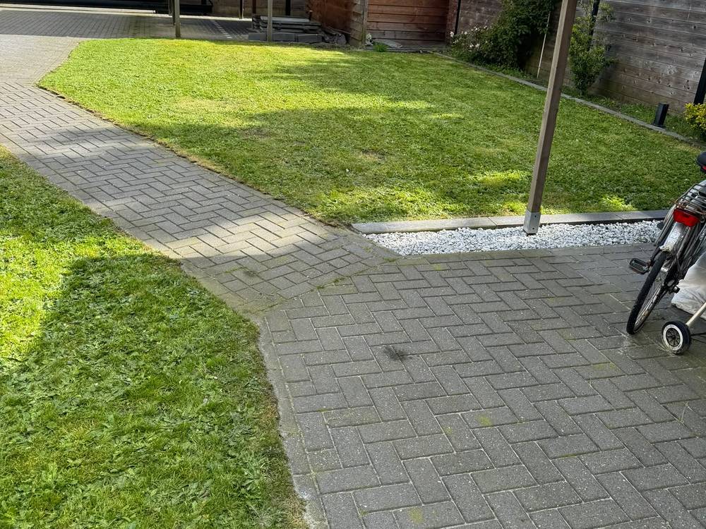 Achtertuin vóór de werken, met vervilt gras vol onkruid langs de klinkers.
