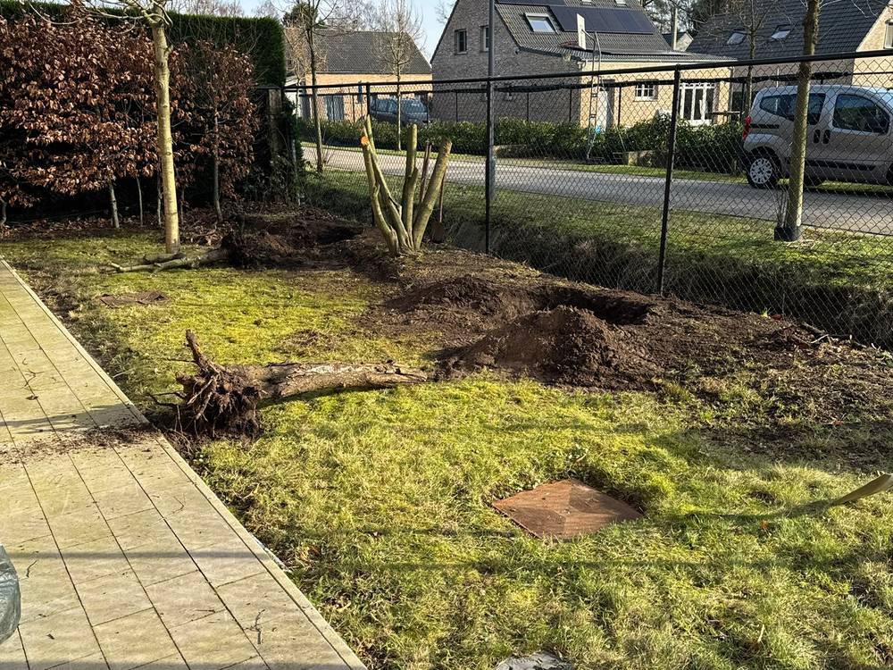 Dezelfde tuin vóór de werken, met een gerooide stronk en vermost gras.