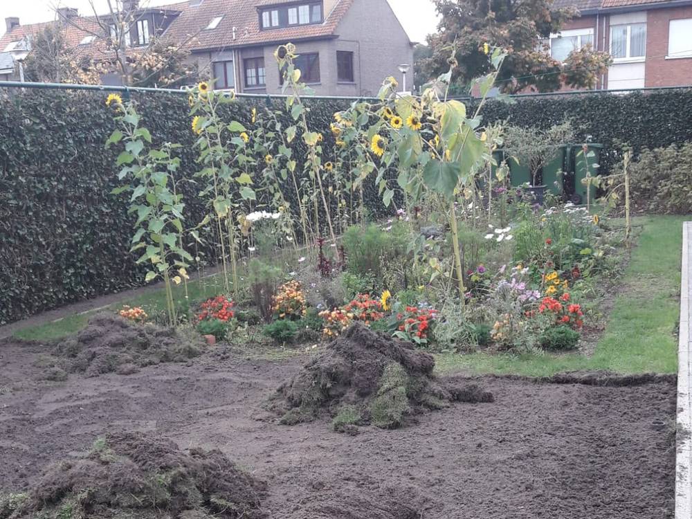 Dezelfde tuin tijdens de werken, met de oude zode afgestoken en de grond omgezet.