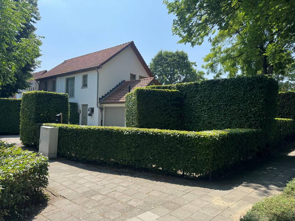 Beukenhagen in blokvorm geschoren rond een witte woning.