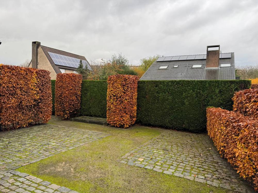 Beuken- en coniferenhagen strak geschoren, in herfstkleur.