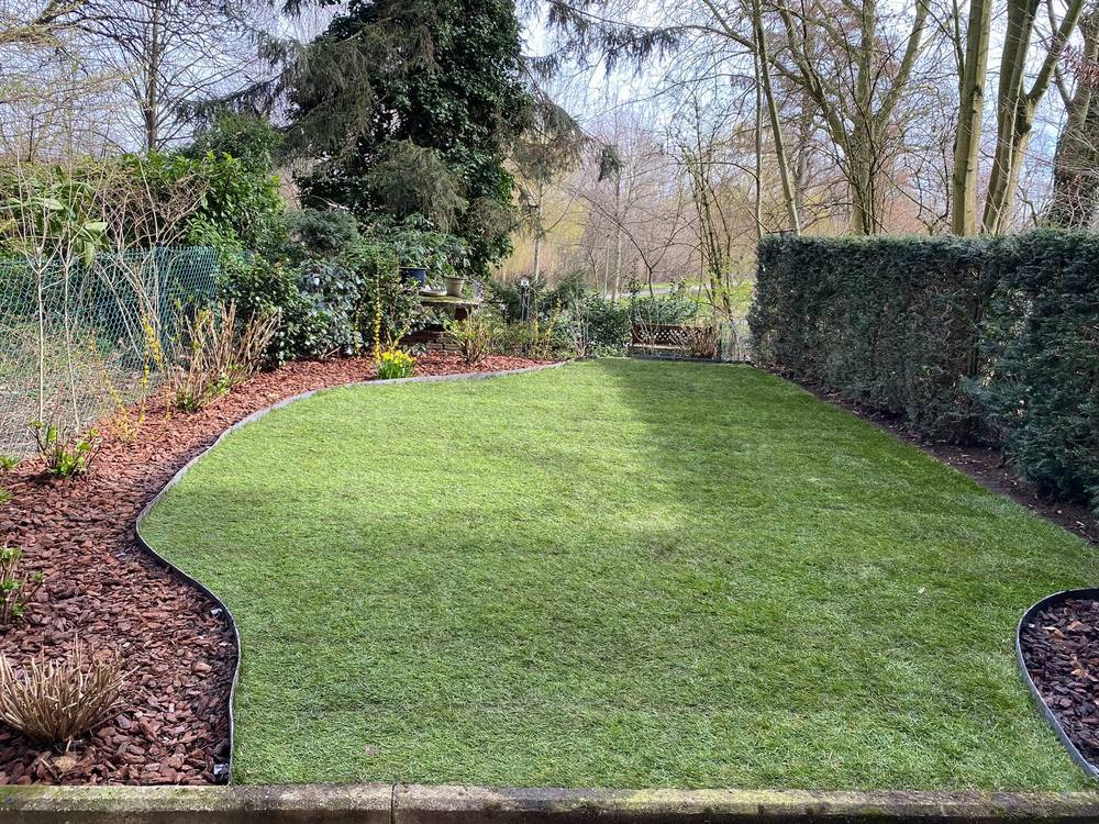 Dezelfde tuin na de werken: nieuw gazon met een ecolatboord en een border met boomschors.