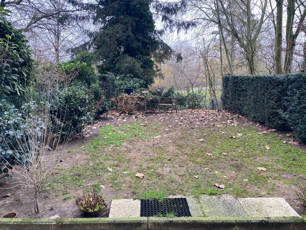 Tuin vóór de werken, kale grond vol afgevallen blad en uitgeputte beplanting.