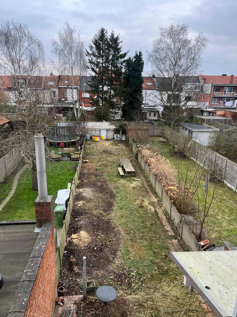 Dezelfde stadstuin vóór de werken, verwaarloosd en vol dood hout.