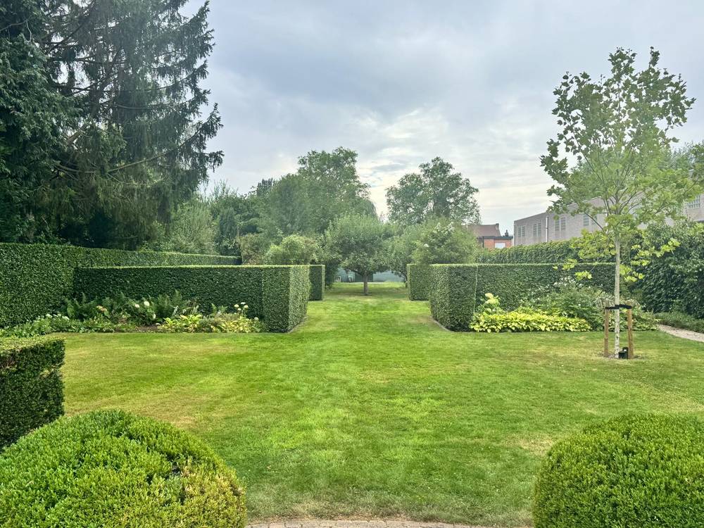 Doorkijk in een formele tuin met hagen en varens in de border.