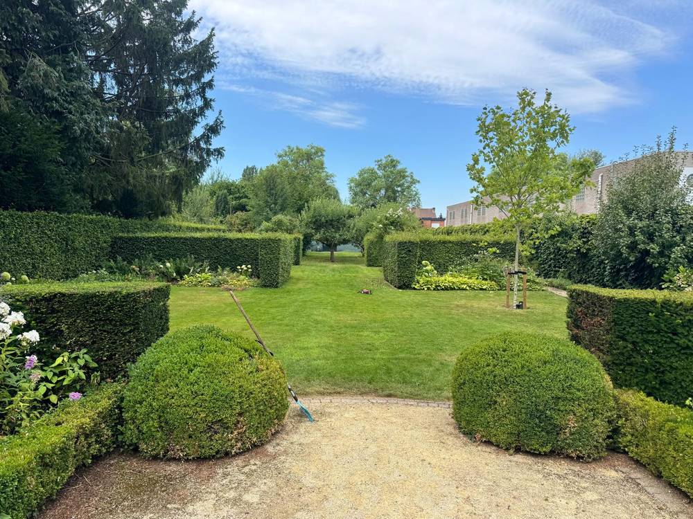 Formele tuin met beukenhagen in kamers, borders en een jonge plataan.
