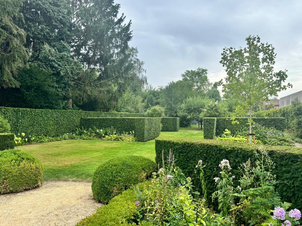 Onderhouden tuin met strak geschoren beukenhagen, buxusbollen en volle borders.