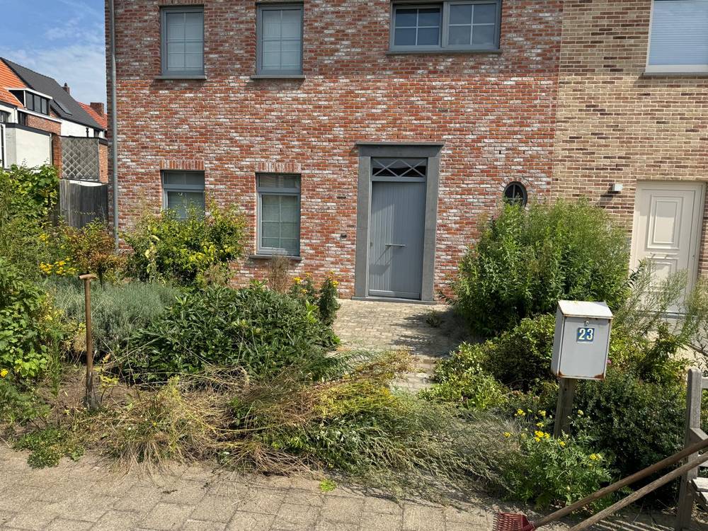 Dezelfde voortuin vóór de werken, volledig overwoekerd.